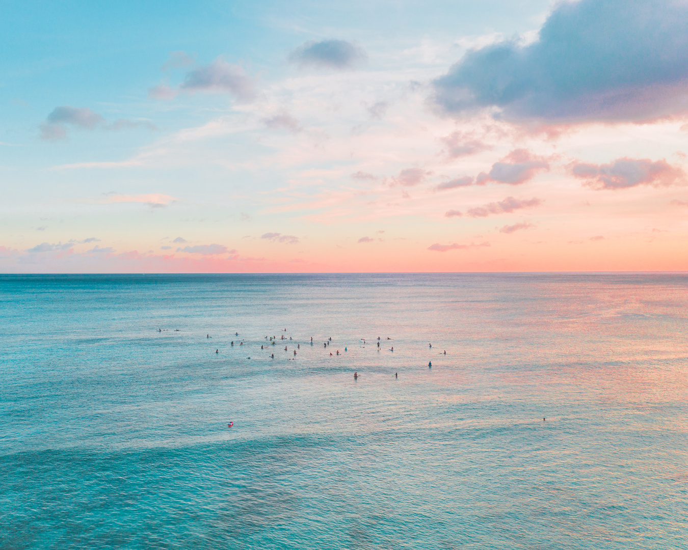 Birds Flying over the Sea
